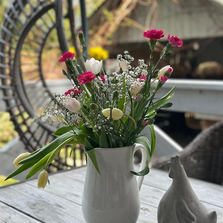Chata Lawendowa Sasino Buitenkant foto