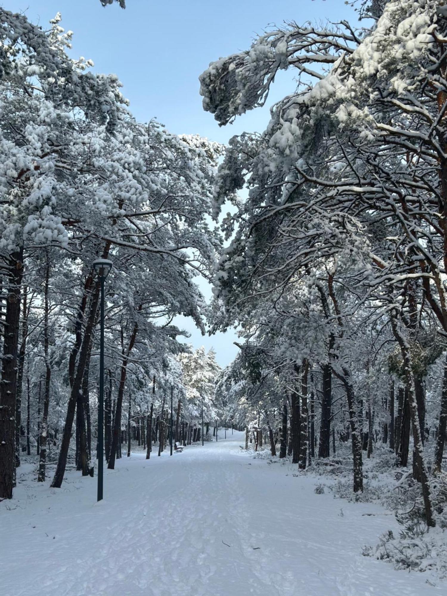 Chata Lawendowa Sasino Buitenkant foto